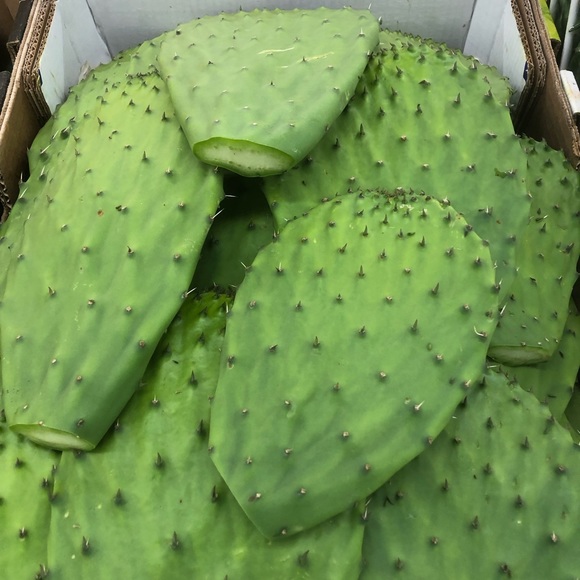 Meet your Posher, Ricardo - Picture 1 of 1